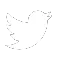 X / Twitter